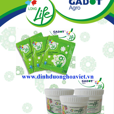 Thuốc Bột Cắm Hoa Tươi nhập khẩu Israel tại shop Florist (1 hủ pha 100L nước cắm hoa) hiệu Longlife SG là bí quyết giúp hoa cắm Xốp tươi lâu và hạn chế chăm sóc thay hoa mới