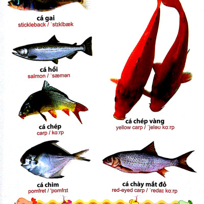 Từ điển tranh về các con vật (ML)