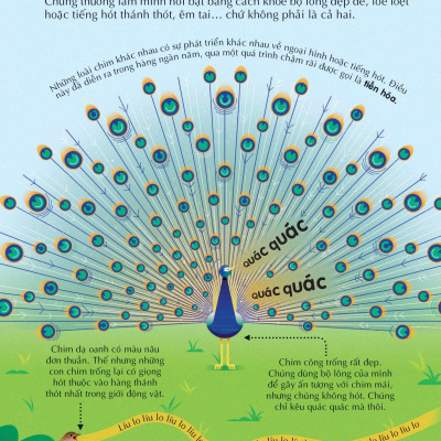 100 Bí Ẩn Đáng Kinh Ngạc Về Âm Nhạc - 100 Things To Know About Music