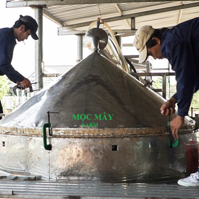 Tinh dầu Chanh tươi (Chanh Thái) 50ml Mộc Mây - tinh dầu thiên nhiên nguyên chất 100% - chất lượng và mùi hương vượt trội - Có kiểm định