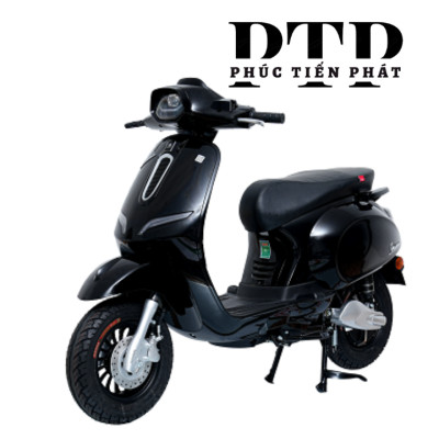 Xe Ga Điện Ally Vegas EV