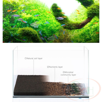 Bộ Dopping ADA Setup Bể