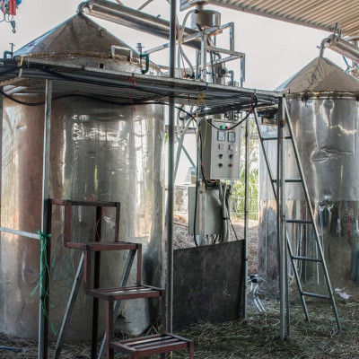 Tinh dầu Hoa Phong Lữ 50ml Mộc Mây - tinh dầu thiên nhiên nguyên chất 100% - chất lượng vượt trội - mùi hương nồng nàn, quyến rũ, kích thích, hưng phấn - Có kiểm định