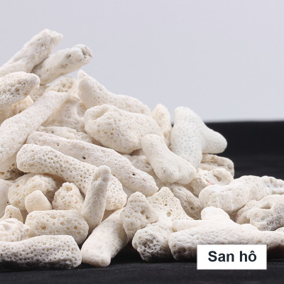 6KG San Hô Vụn vật liệu lọc hồ cá, trang trí bể cá, hồ thủy sinh cao cấp 