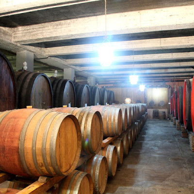 Rượu vang Ý ABVNDANTIA Negroamaro I.G.P Puglia (Italia) kèm túi hộp,đồ khui 