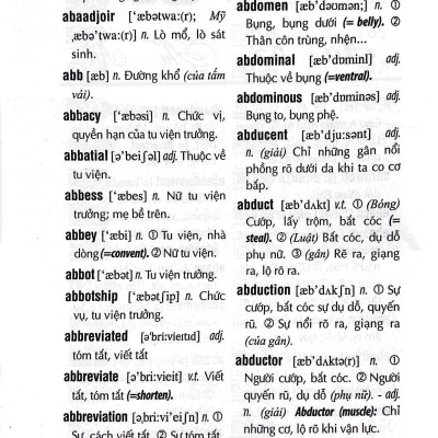 Từ Điển Anh Việt 225.000 Mục Từ & Định Nghĩa (Bìa Cứng) (Tái Bản 2024)