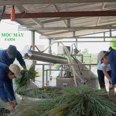 Tinh dầu Sả Chanh Organic Mộc Mây - tinh dầu nguyên chất từ thiên nhiên - chất lượng và mùi hương vượt trội