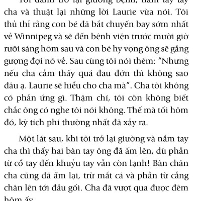 Hạt Giống Tâm Hồn - Tập 11 - Những Trải Nghiệm Cuộc Sống (Tái Bản)