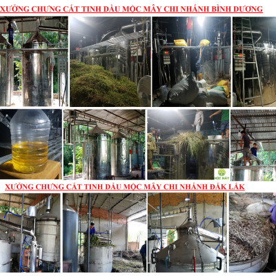 Tinh dầu Chanh tươi (Chanh Thái) 100ml Mộc Mây - tinh dầu thiên nhiên nguyên chất 100% - chất lượng và mùi hương vượt trội - Có kiểm định