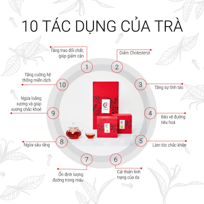 TRÀ VIỆT Hộp Quà Tri Kỷ Gỗ Thông Trắng New Zealand Cao Cấp
