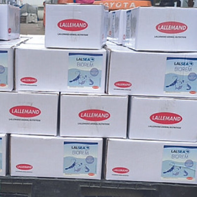 Vi sinh xử lý nước ao nuôi thủy sản LALSEA BIOREM (Nhập khẩu)