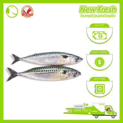 Cá Saba Nhật Nguyên Con - Túi 1Kg