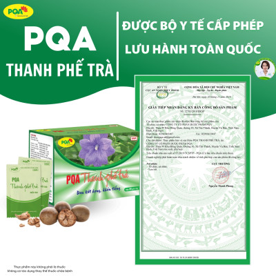 Thanh Phế Trà PQA Hỗ Trợ Giảm Ho, Đờm Và Đau Rát Họng Dùng Cho Người Bị Ho Do Thay Đổi Thời Tiết Hộp 25 Gói