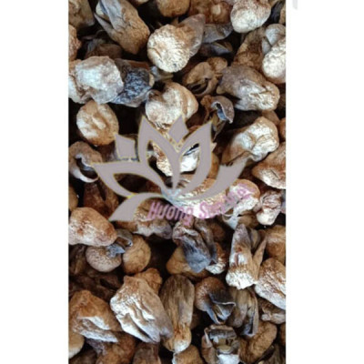 NẤM RƠM SẤY KHÔ HŨ 100G - HƯƠNG SEN VIỆT