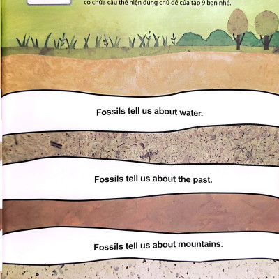 All Story - Fossils - Hóa Thạch - Trình Độ 2 (Tập 9)