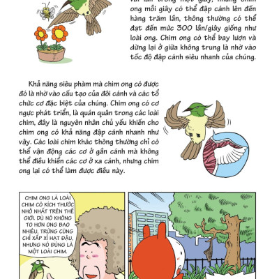 10 Vạn Câu Hỏi Vì Sao - Khám Phá Thế Giới Động Vật - Bay Trên Bầu Trời 1 (Tái Bản 2018)