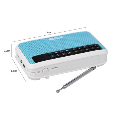 Loa Bluetooth không dây Rolton E500 6W Máy nghe nhạc âm thanh nổi HiFi Đài FM kỹ thuật số di động với màn hình LED đèn pin