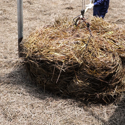 Tinh dầu sả chanh 10ml Mộc Mây - tinh dầu nguyên chất 100% từ thiên nhiên - chất lượng và mùi hương vượt trội