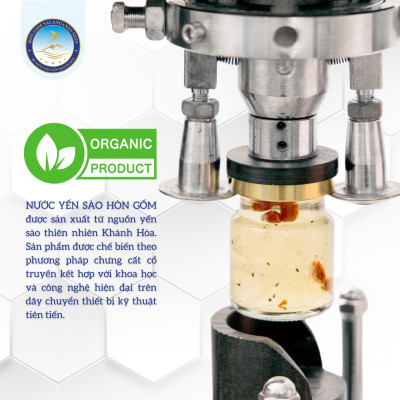 [Hộp 1 Hũ] Tổ Yến Sào Chưng Đường Phèn - Yến Sào Hòn Gốm Chính Hiệu Khánh Hoà - HGK NEST