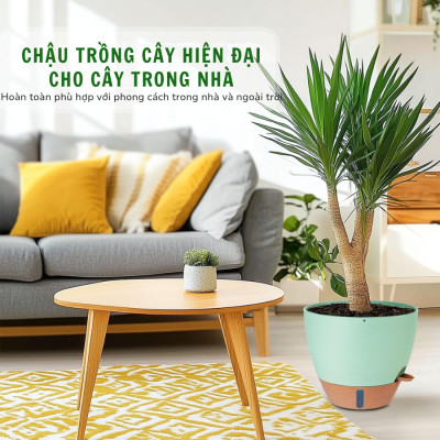 Chậu trồng cây tự tưới thông minh Monrovia A60 cho cây trong nhà và ngoài trời, decor, văn phòng