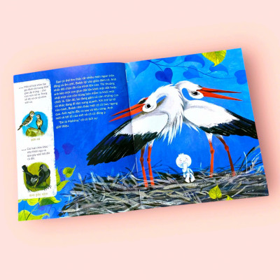 Sách cho bé - Tuli Tuli Kể Chuyện Nhà Ai Ở Đâu - Nhà Chim Trên Đồng Cỏ - Sách tranh cho bé