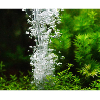 Bộ 4 Sủi oxy to, đá sủi oxy, quả sủi oxy Loại tốt, Cỡ trung đường kính 2.5cm, cao 5.3cm, nặng 60gr dùng cho Máy sủi oxy, Máy sục khí - Tăng lượng khí oxy bể cá - Giúp cá lớn nhanh, phát triển mạnh