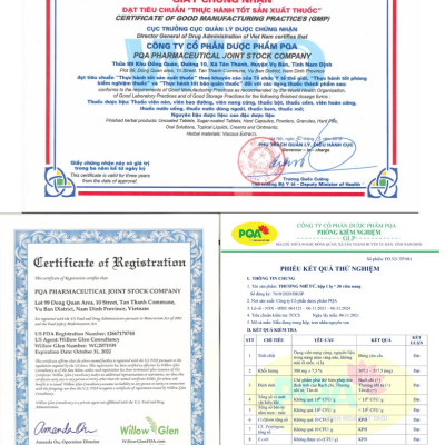 Thương Nhĩ Tử PQA Hỗ Trợ Thông Mũi, Giảm Hắt Hơi Và Đau Nhức Vùng Đầu Trán Hộp 30 Viên