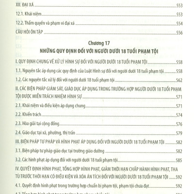 Giáo Trình Luật Hình Sự Việt Nam (Phần Chung) - GS. TSKH. Lê Văn Cảm, PGS. TS. Trịnh Tiến Việt - Tái bản, có sửa đổi bổ sung - (bìa mềm)