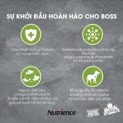 Thức Ăn Cho Chó Con Nutrience Infusion Bao 2.27kg Thịt Gà, Rau Củ Và Trái Cây Tự Nhiên