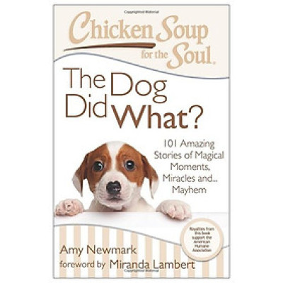 Chicken Soup For The Soul: The Dog Did What?: 101 Amazing Stories Of Magical Moments, Miracles And... Mayhem