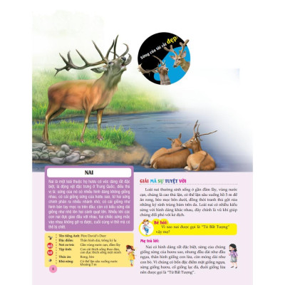 Sách - Bách Khoa Toàn Thư Tìm Hiểu Về Trái Đất - Thế Giới Động Vật - Minh Thắng