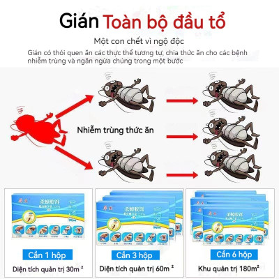Combo 3 hộp thuốc diệt gián sinh học Housheng, diệt tận gốc tất cả các loại gián, hiệu quả, an toàn.