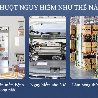 Chai Xịt Đuổi Chuột Rat Off - Anti Rat Spray Thái Lan 200ml Tặng kèm móc khóa (Mẫu Ngẫu nhiên)