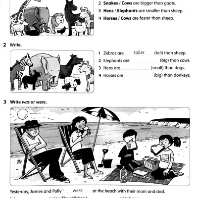 AM F & F 3: WORKBOOK