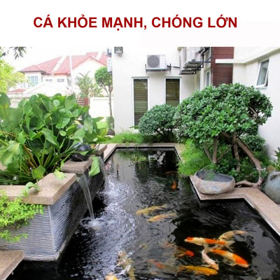4 Gói Thức Ăn Cá Cảnh, cám Cá Koi hạt nhỡ 3mm (Cho cá size 8cm trở lên) - Nhanh lên size, lên màu, tăng cường sức đề kháng 500Gr 