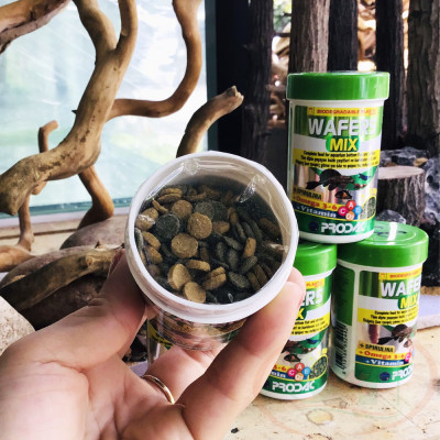 Thức ăn cá Prodac Wafers Mix chìm tầng đáy viên tảo cá chuột pleco bể tép thủy sinh