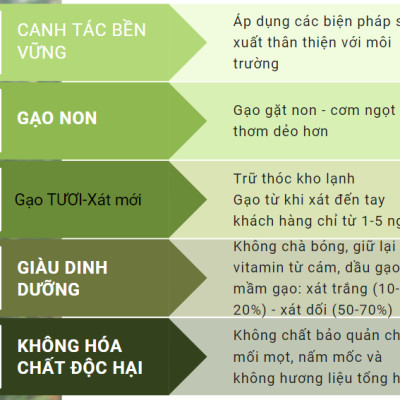 Gạo An nông ST25 Xát Dối 700g