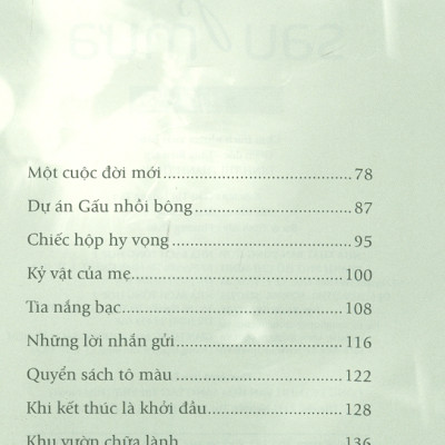 Chicken Soup For The Soul  - Nắng Ấm Sau Mưa