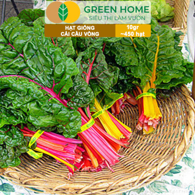 Hạt Giống Rau Cải Cầu Vồng Greenhome, Gói 10g~450 hạt, Dễ Trồng Quanh Năm, Nảy Mầm Cao, Thu Hoạch Nhanh, Năng Suất Cao R06