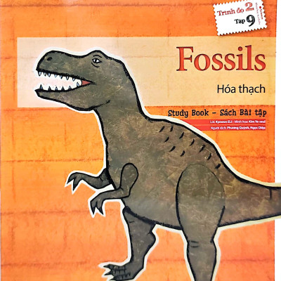 All Story - Fossils - Hóa Thạch - Trình Độ 2 (Tập 9)