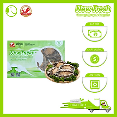 Bào Ngư Hàn Quốc Đông Lạnh - Túi 1Kg (10-12 con)