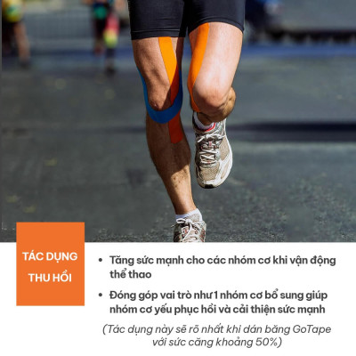 Băng dán cơ thể thao GOTAPE 5cm*5m, cuộn Pre-cut chất liệu Rayon cao cấp