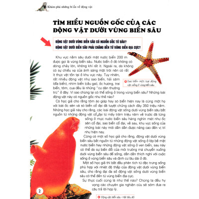 Khám Khá Những Bí Ẩn Về - Động Vật