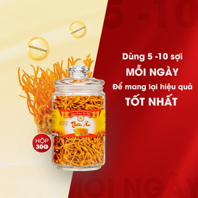 Đông Trùng Hạ Thảo Sấy Thăng Hoa - Hũ 30g
