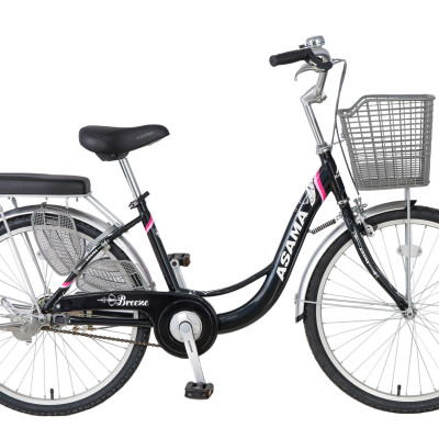 Xe đạp thời trang Asama CLD-BR 2402