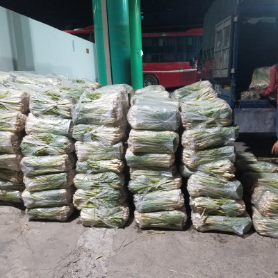 Tinh dầu sả chanh 10ml Mộc Mây - tinh dầu nguyên chất 100% từ thiên nhiên - chất lượng và mùi hương vượt trội