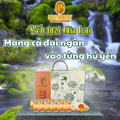 Yến chưng Saffron PUTANEST hộp quà tặng cao cấp 12 hũ 70ml bổ dưỡng đẹp da ngừa lão hoá