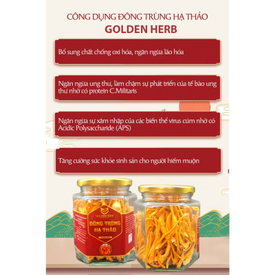 Đông trùng hạ thảo thượng hạng sấy khô 20gr/hũ