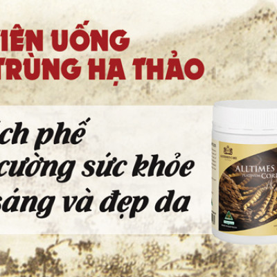 Thực phẩm bảo vệ sức khỏe Đông trùng hạ thảo ALLTIMES CARE PLATINUM CORDYCEPS - Hộp 60 viên
