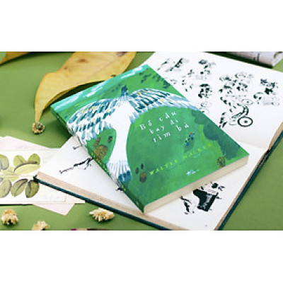 BỒ CÂU BAY ĐI TÌM BÀ